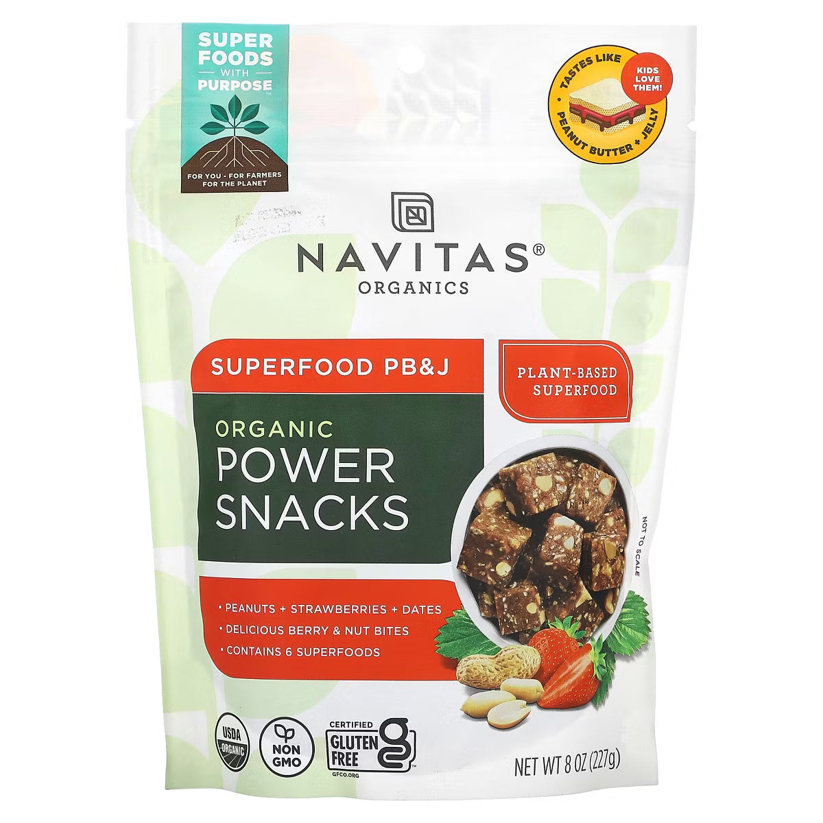 Navitas Organics PB&J Power Snacks Superfood Bites – 8 OZ – Healthy Snack