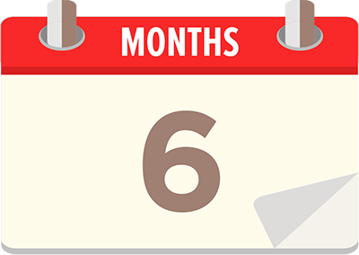 6 Months Plan